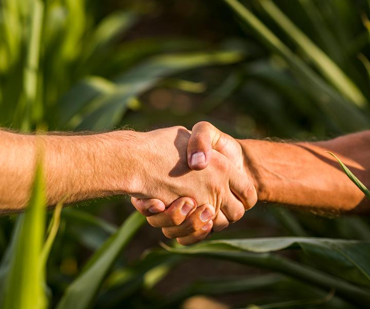 Imagen representativa de nuestros proyectos